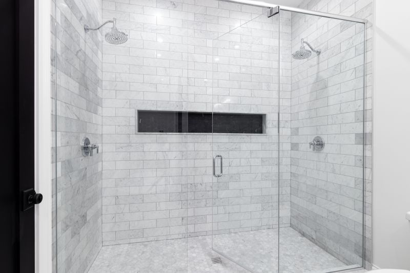 Stylish Frameless Shower