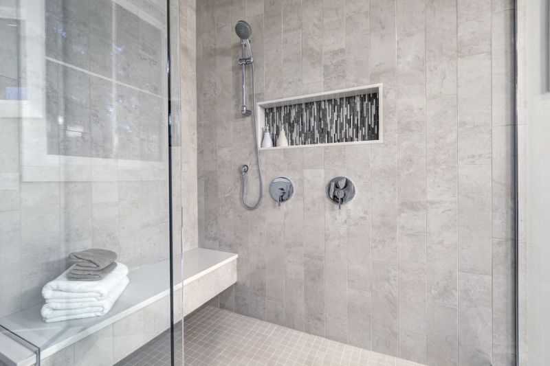 Modern Shower with Niche Storage